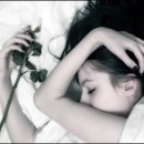 하늘송7080 Daum카페