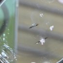 봉동자동차유리 이미지