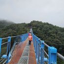 웰리힐리파크 이미지