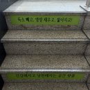샤르빼온열힐링카페 | 천호놀거리 추천 핫플 온열카페, 강동구 이색 힐링 데이트 후기