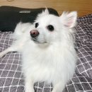 대림우리약국 이미지