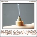 쑥뜸 효능과 부작용에 대해 알려드립니다. (feat 왕쑥뜸기 직접 구입한 1인)