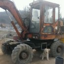 대우농장 이미지