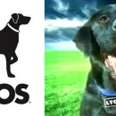 라이코스 이미지