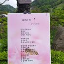 예인광고 Daum카페