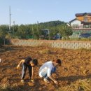 남당농장 이미지