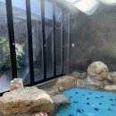 패밀리스파텔 이미지