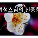 법성스님의 신중청, 신중기도 이미지