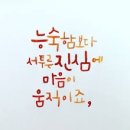 리얼컴퍼니