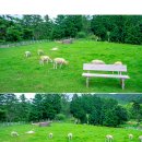 일모목장 이미지