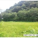 신광주공인중개사사무소 이미지