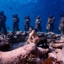 말조형물(동상) | 발리 길리섬 프리다이빙 스노쿨링 터틀 동상 포인트 한국인 가이드 투어 추천