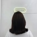 살롱드모연