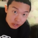 뽀뽀애견 이미지