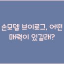 브이로그