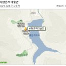 한국버닝문화협회