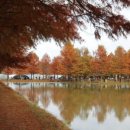 뚝방게스트하우스 이미지