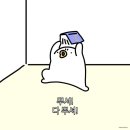 부산포토그래픽스 | ［ 𝙻𝚒𝚌𝚎𝚗𝚜𝚎 #𝟹 ］컴퓨터그래픽스운용기능사 실기 합격 후기 / 수도권 시험장 놓친 김에 부산가서 여행😂