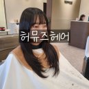 안양 미용실 컷트 전문 허뮤즈헤어 후기 하연디자이너 둥근얼굴