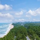 그란데마레 이미지