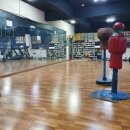 임재근 권투체육관 이미지