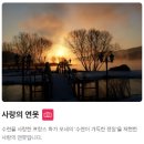 2026 세미원 연꽃문화제 기본정보 입장료 주차 관람포인트 총정리