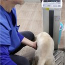 캡틴게임장 이미지