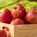 청송농원 이미지