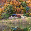 가송길(도산면) 이미지