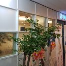 이함한의원 이미지