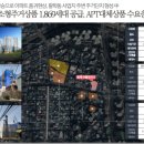 아델리아 이미지