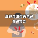 멸치탈출연구소 이미지