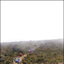 뽈레뽈레 이미지