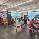 다미트짐 세류점 이미지