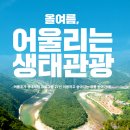 서산한성필공인중개사사무소 | 여름 생태관광 프로그램