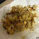 고동 | 선녀바위 해수욕장 해루질 물때 아이와함께 고동 칠게 잡은 후기