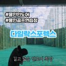 다일락스포렉스 이미지