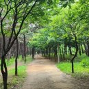 늠내길5코스 정왕둘레길 이미지