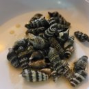 백년장여관 이미지