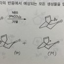 라디칼치환 이미지