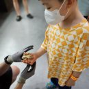 세븐디가든앤쥬 | 청주 실내동물원 아이와가볼만한곳 동물과 파충류 도마뱀이 있는 세븐디가든&amp;쥬