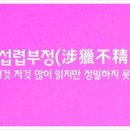섭렵부정ㅣ涉獵不精 이미지