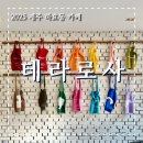 실론제주 | 제주 남쪽 감성 가득한 대형카페 힐링 스폿 테라로사 서귀포점 방문기