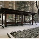 양산신-2006 이미지