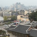 와이준파트너스주식회사 | 만족스러웠던 서울신라호텔 비즈니스디럭스룸 / 더파크뷰조식 후기.ᐟ (셔틀정보포함)