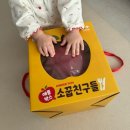 과일야채이야기 | 킨더펀 애플박스 소꿉친구들 주방놀이 야채과일모형 내돈내산 후기 장점 및 단점