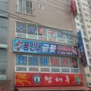 용인대글꽃태권도 이미지