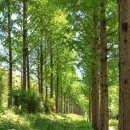 나무부동산중개 이미지