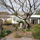 김영갑갤러리두모악미술관 이미지