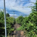 원신농장 이미지